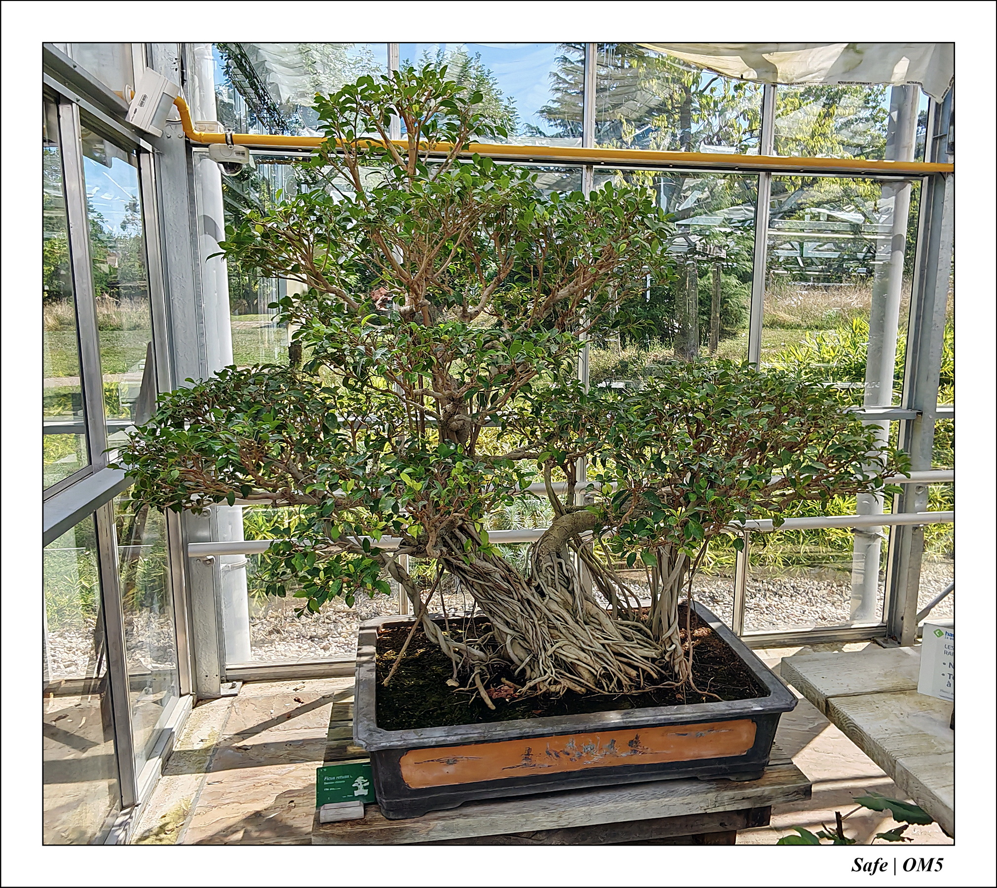 2025 - 08 - Vallée des loups - 18